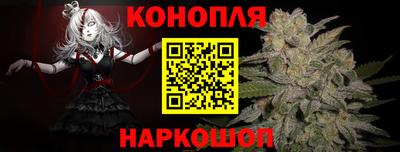 СК Пенза